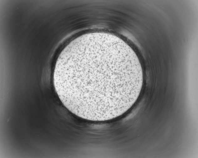 X0000088071021200706081705