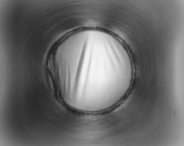 X0000088071022200706081705