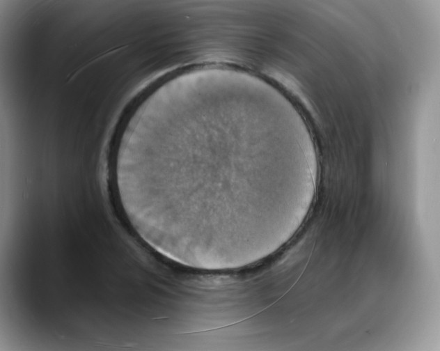 X0000088071024200706081705