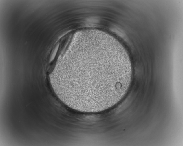 X0000088071025200706081705
