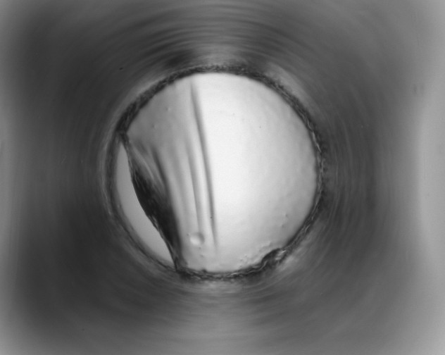 X0000088071026200706081705