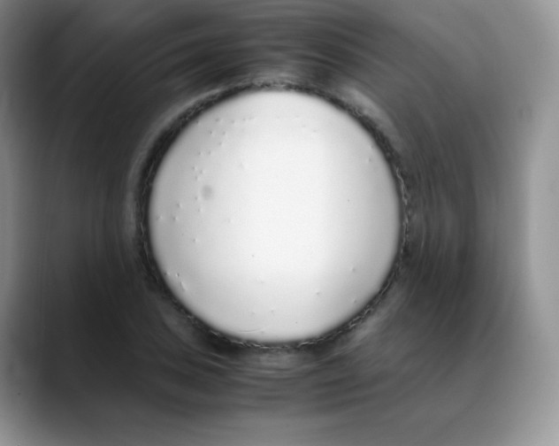 X0000088071027200706081705