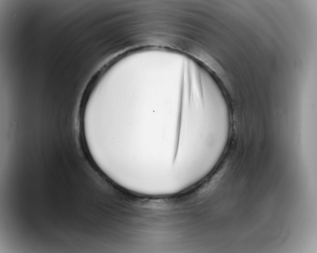 X0000088071028200706081705