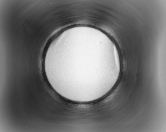 X0000088071029200706081705
