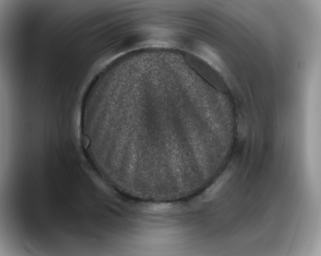 X0000088071030200706081705