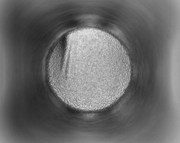 X0000088071031200706081705