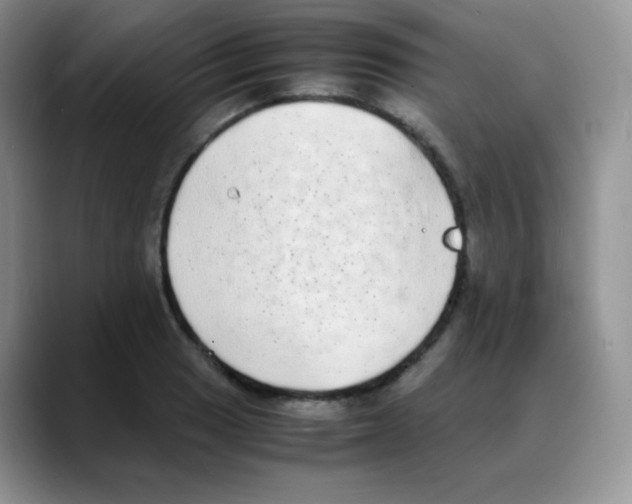 X0000088071033200706081705