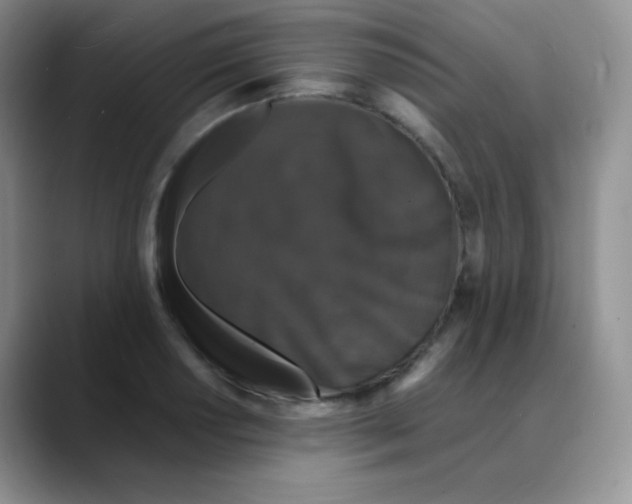 X0000088071034200706081705