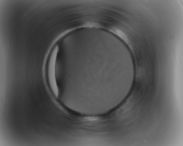 X0000088071037200706081705