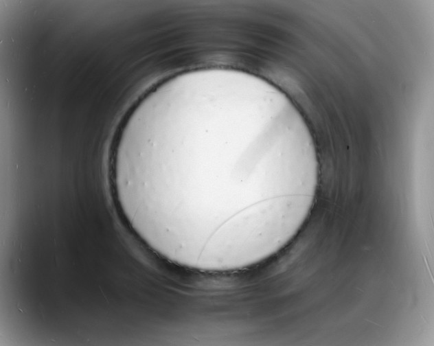X0000088071039200706081705