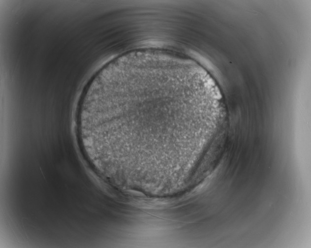X0000088071042200706081705