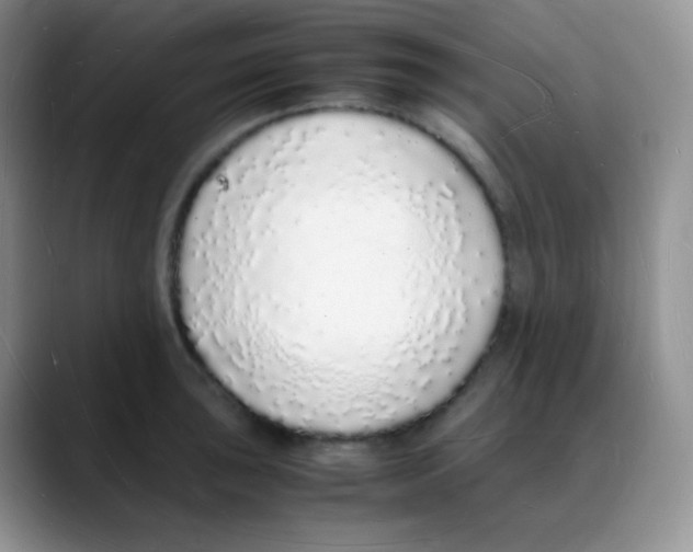 X0000088071043200706081705