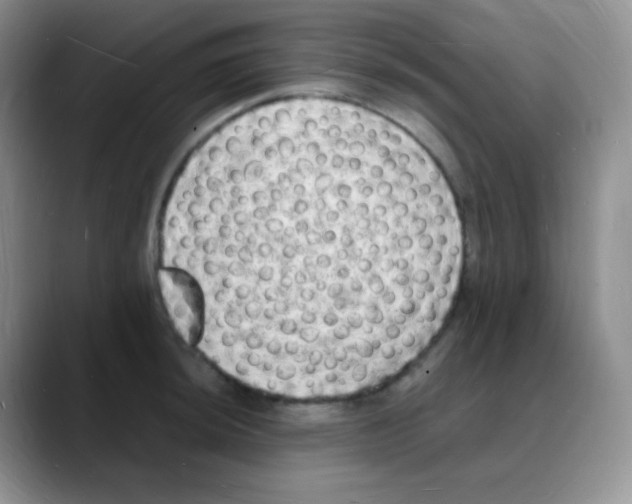 X0000088071044200706081705