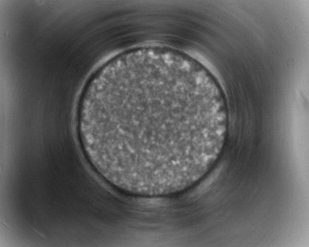 X0000088071045200706081705