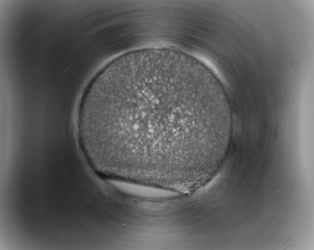 X0000088071046200706081705