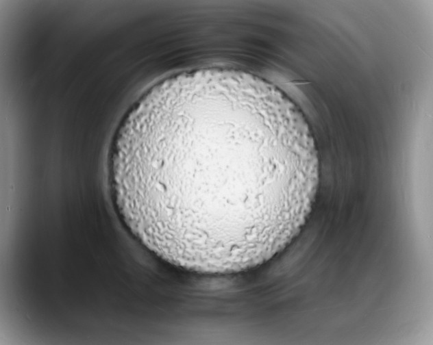X0000088071047200706081705
