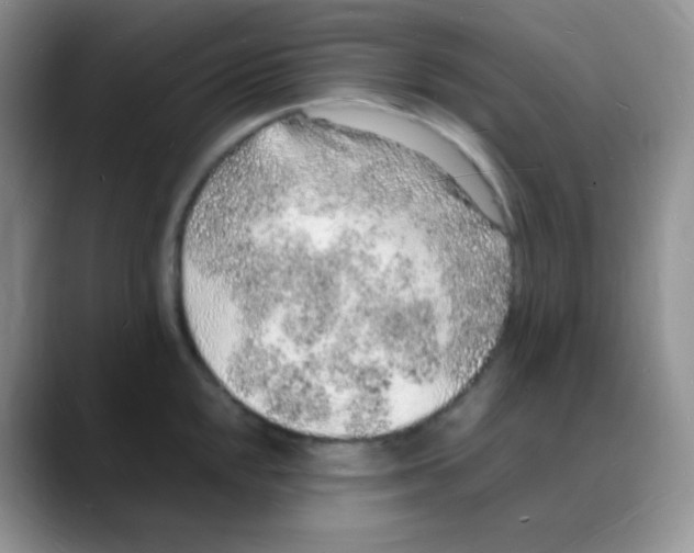 X0000088071048200706081705