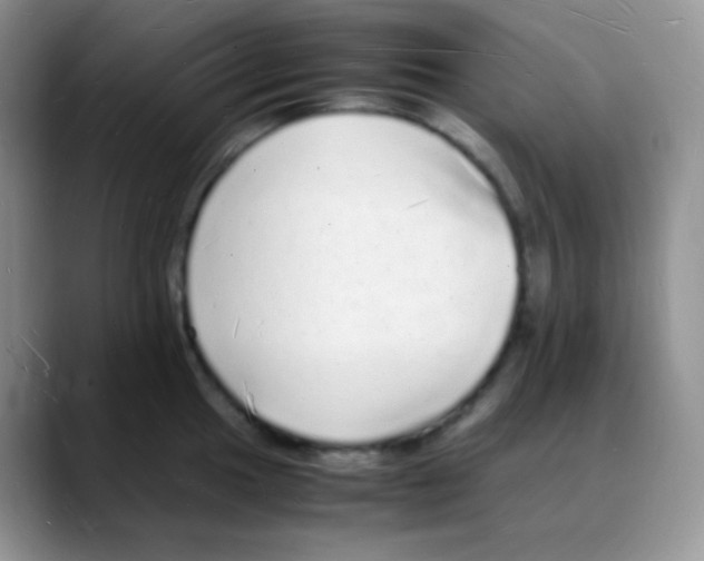 X0000088071049200706081705