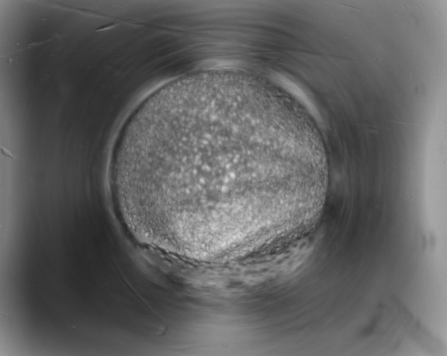 X0000088071050200706081705