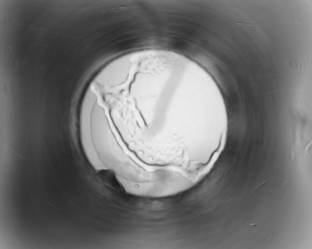 X0000088071051200706081705