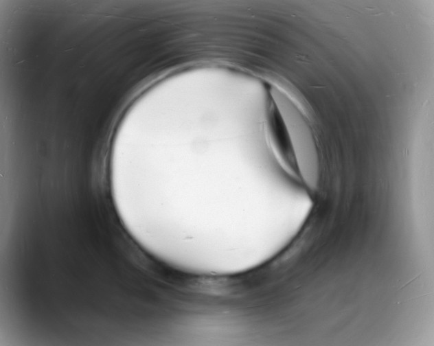X0000088071052200706081706