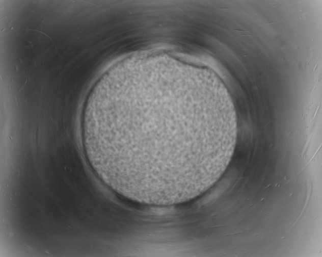 X0000088071055200706081706