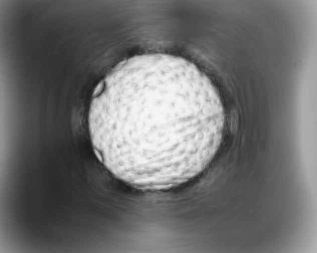 X0000088071059200706081705