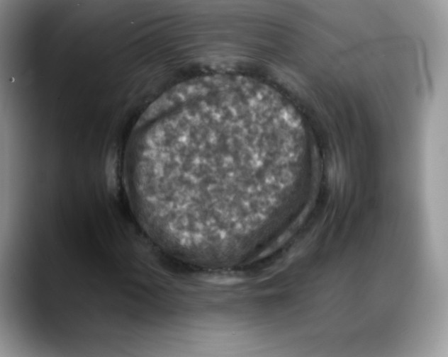 X0000088071060200706081705