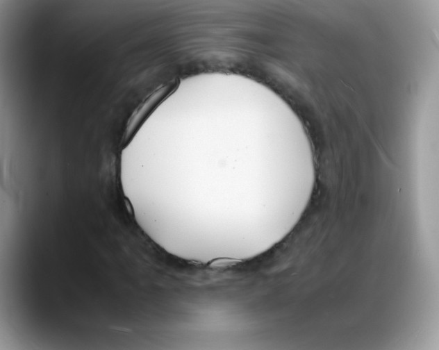 X0000088071061200706081705