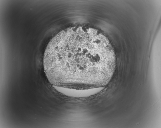 X0000088071063200706081705