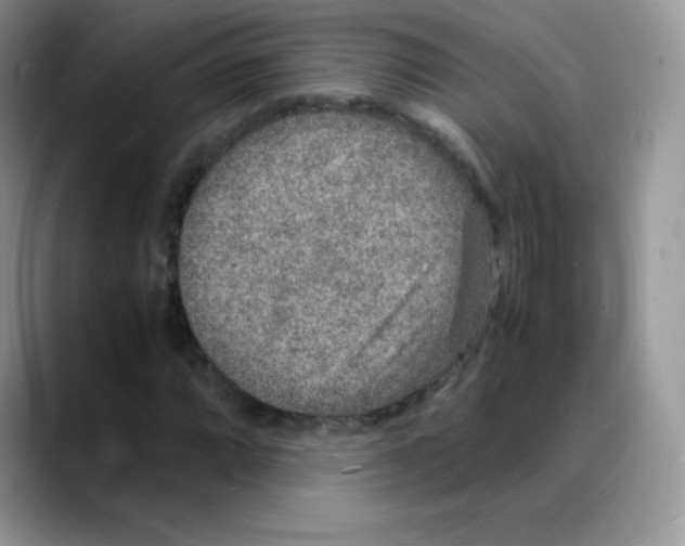 X0000088071064200706081705