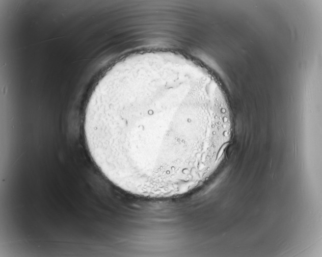 X0000088071067200706081705