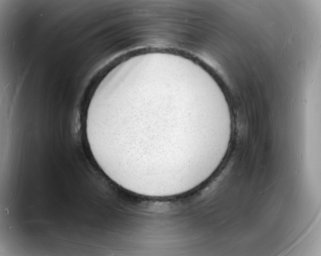 X0000088071070200706081705