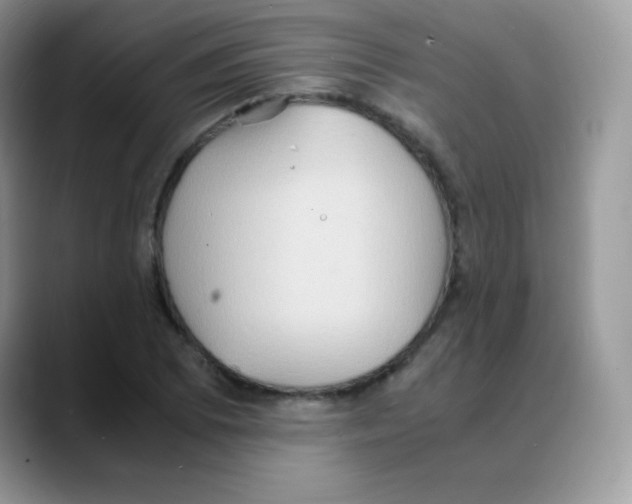 X0000088071073200706081705