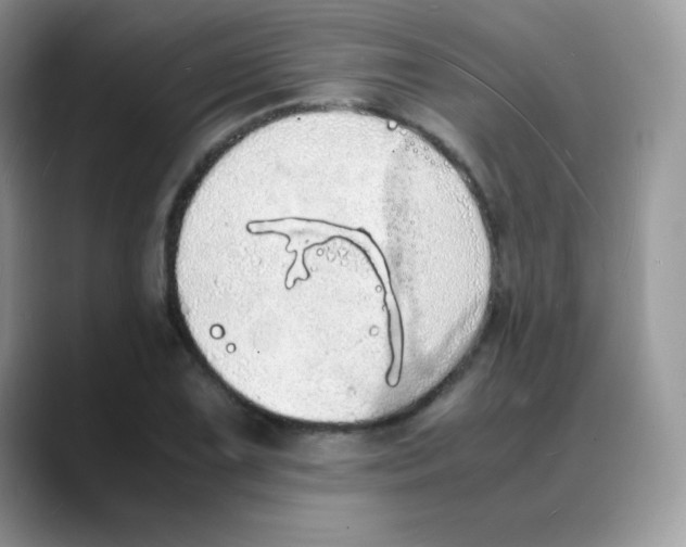 X0000088071075200706081705