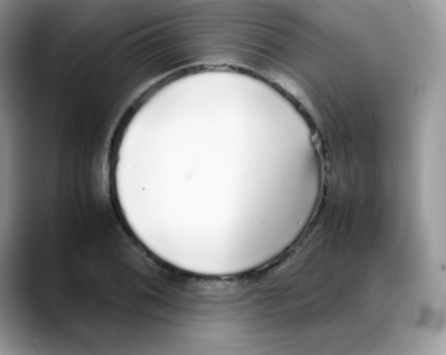 X0000088071076200706081705