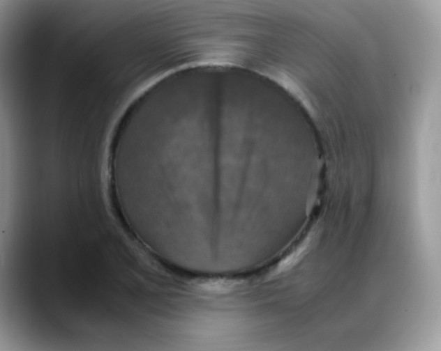 X0000088071077200706081705