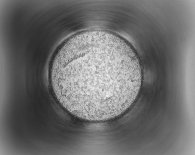X0000088071078200706081705