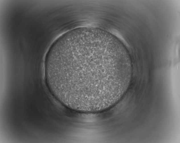 X0000088071079200706081705
