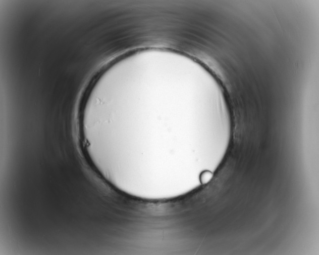 X0000088071080200706081705