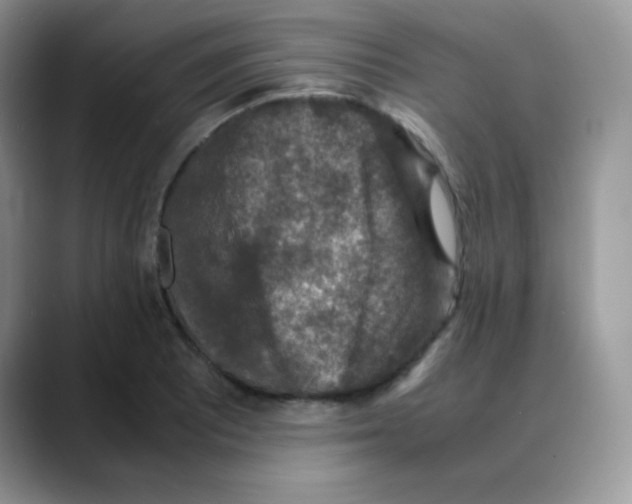 X0000088071081200706081705