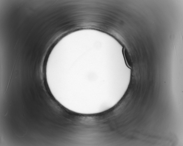 X0000088071082200706081705