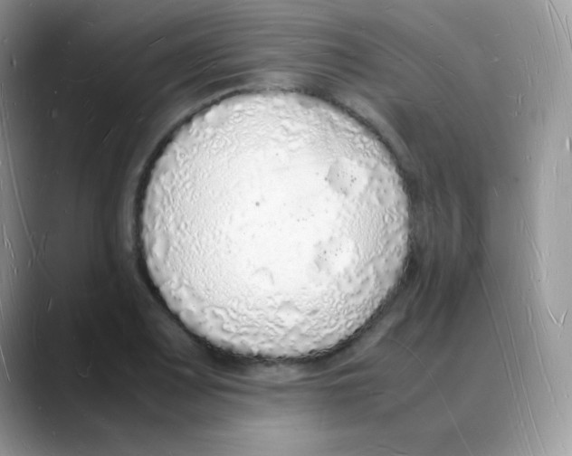 X0000088071083200706081705