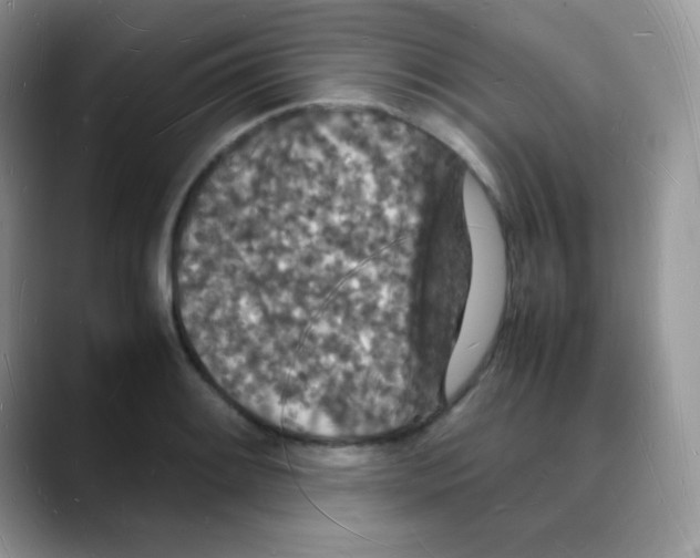 X0000088071084200706081705