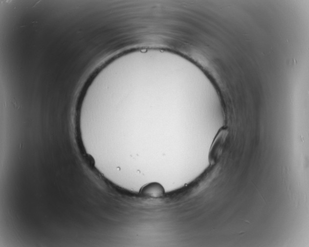 X0000088071085200706081705