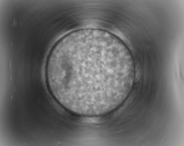 X0000088071086200706081705