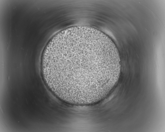 X0000088071087200706081705