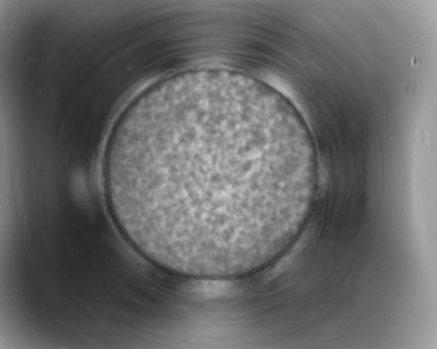 X0000088071090200706081704