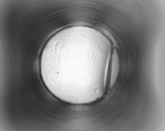 X0000088071092200706081704