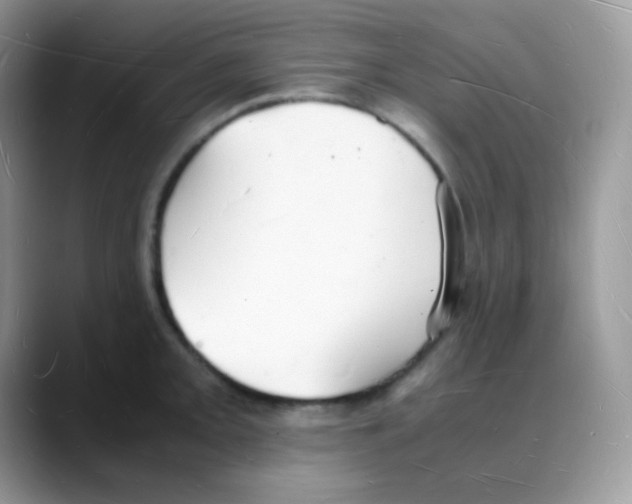 X0000088071093200706081704